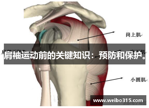 肩袖运动前的关键知识：预防和保护。