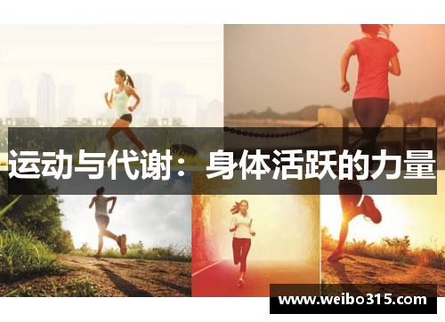 运动与代谢：身体活跃的力量