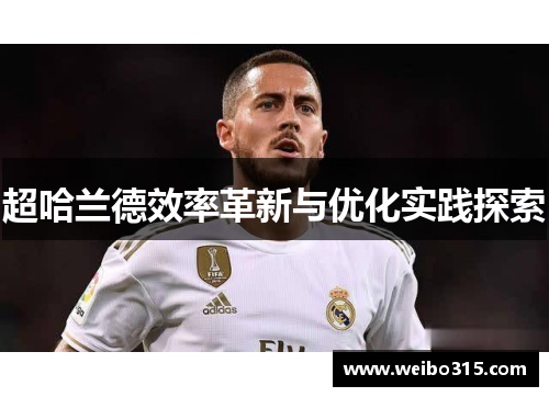 超哈兰德效率革新与优化实践探索